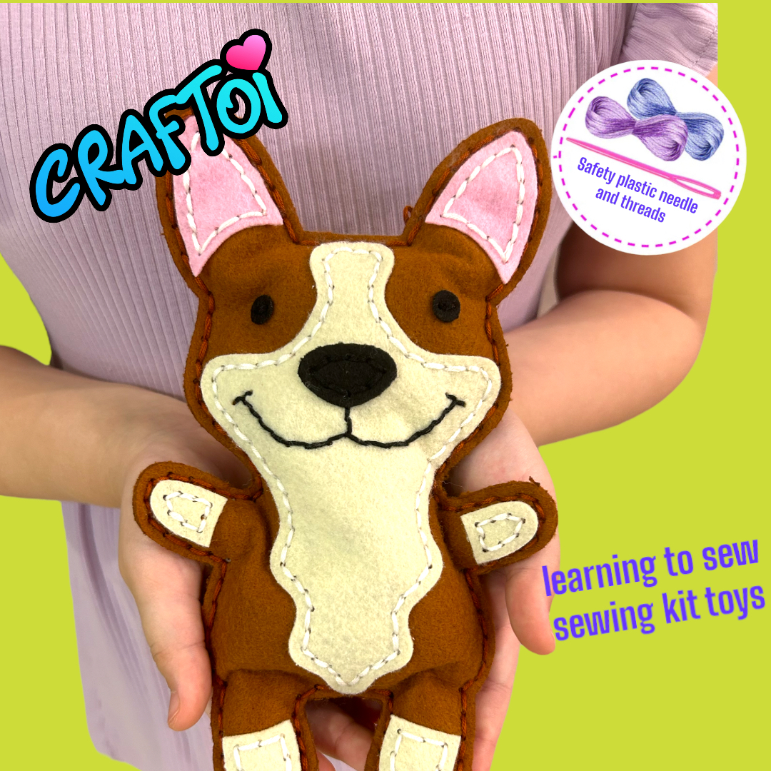 Corgi1